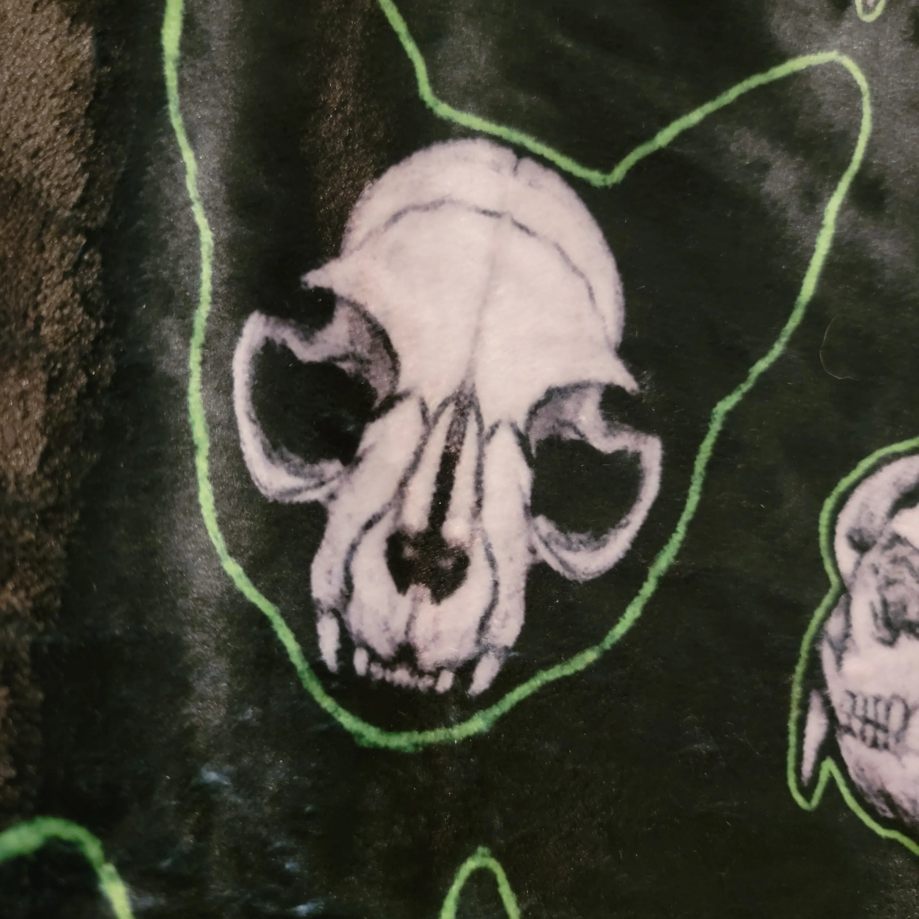 Cat Skulls Minky Blanket