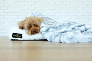Cloudy Day Pet Blanket