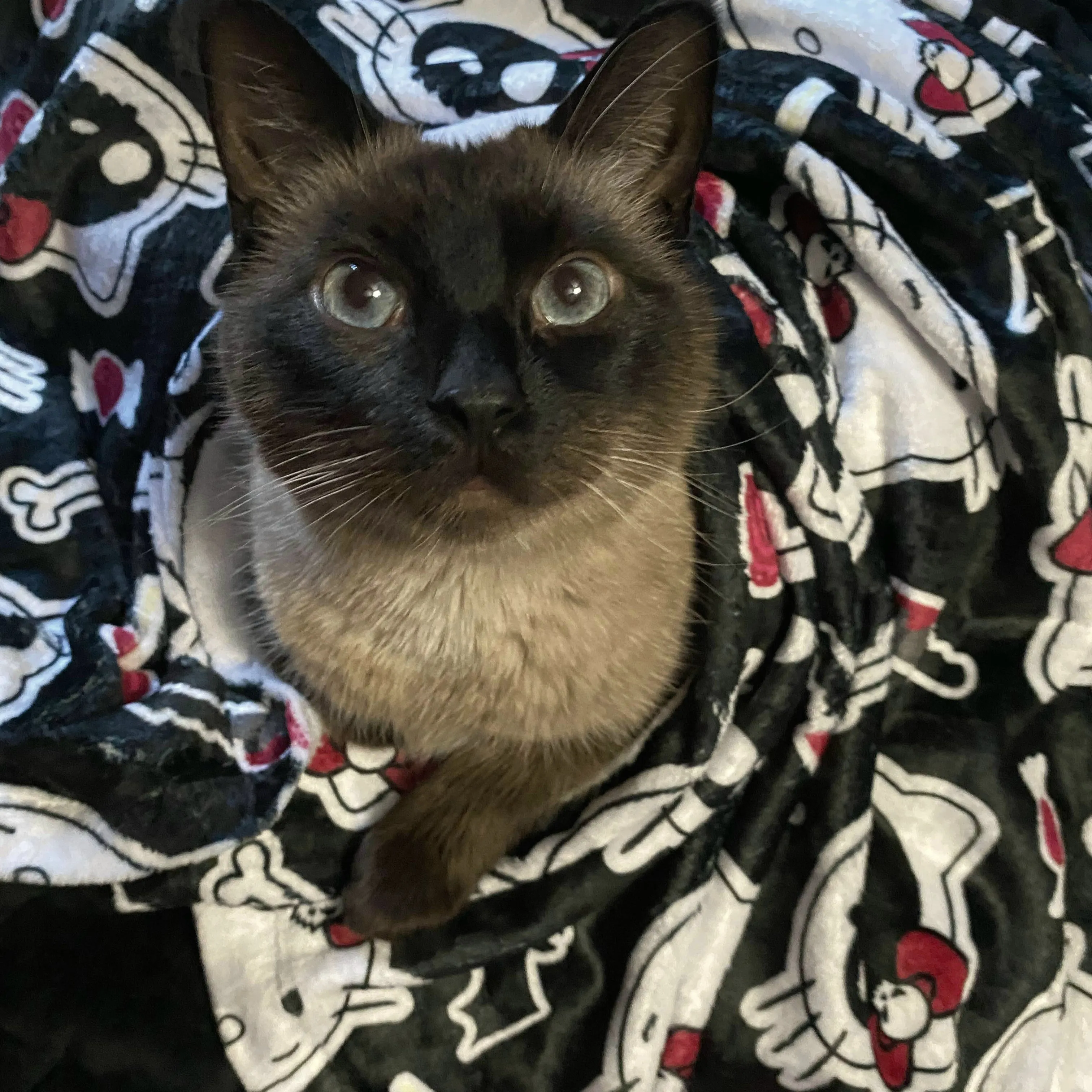 Hello KILLy Minky Blanket - Black