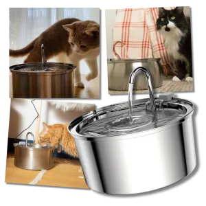 Large Capacity Cat Drinking Fountain