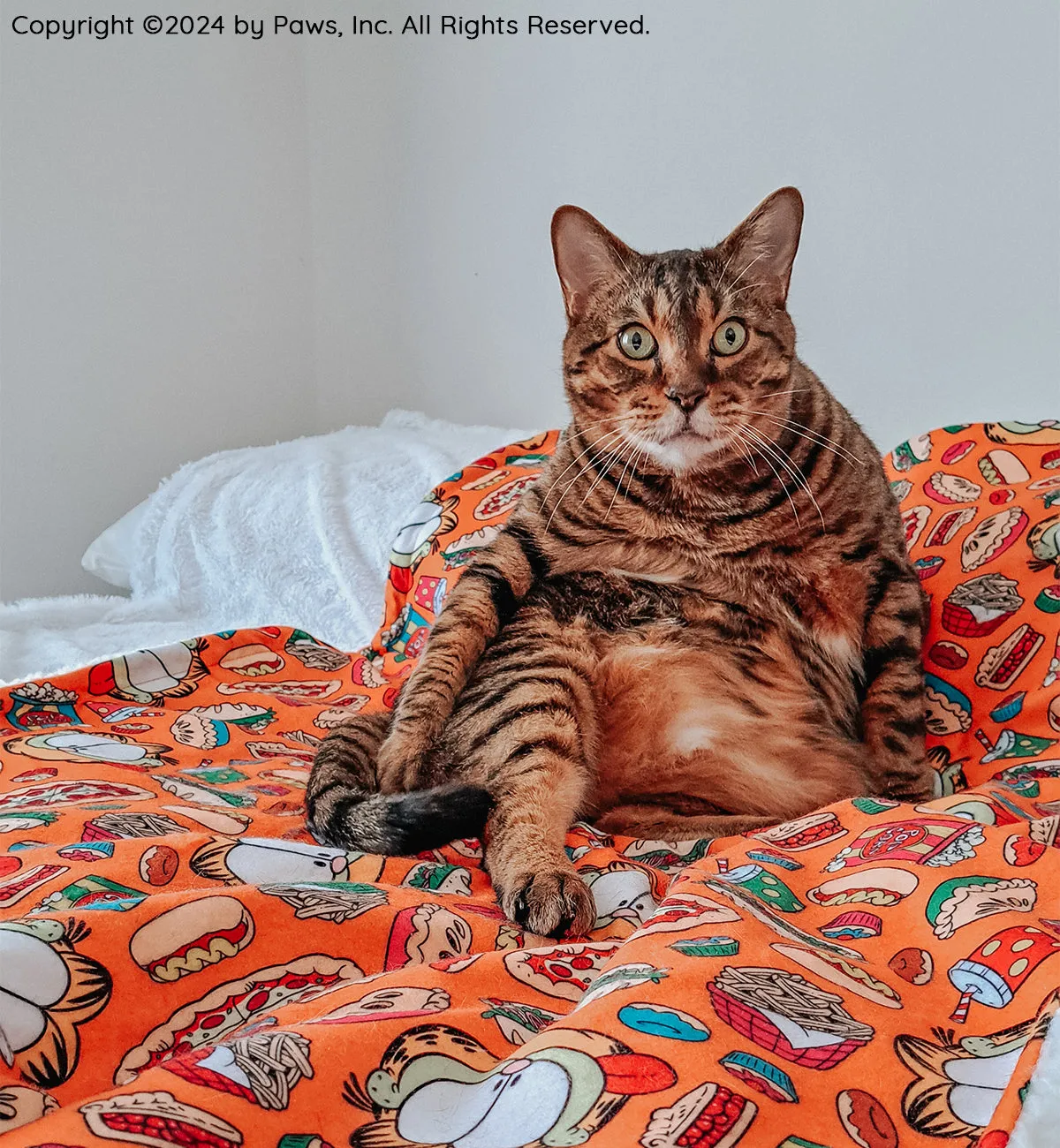 Pet Blanket - Garfield™