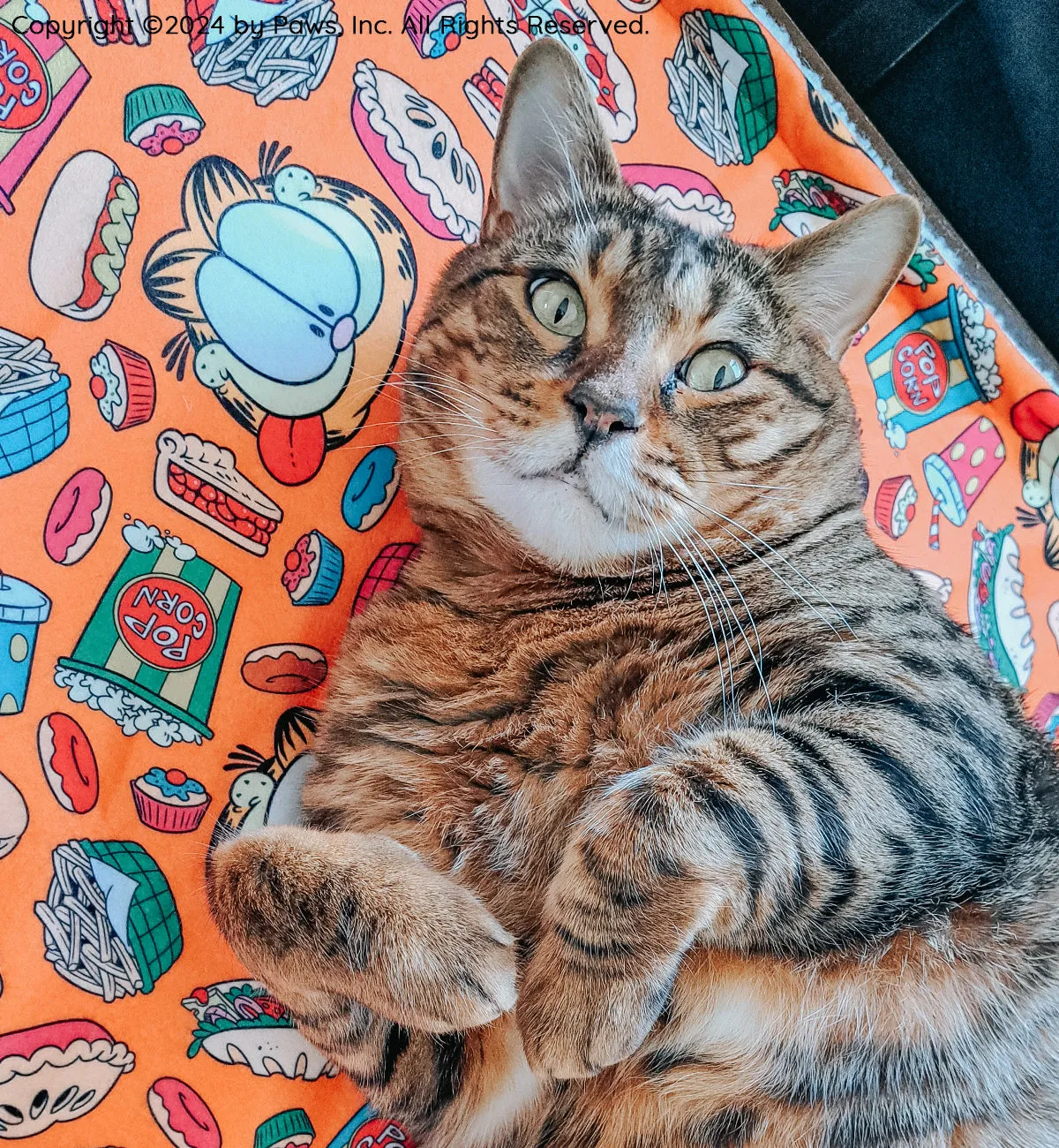 Pet Blanket - Garfield™