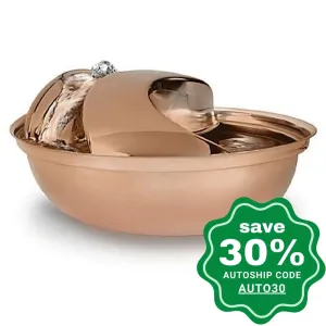 Pioneer Pet - Drinking Fountain - Stainless Steel - Raindrop - Rose Gold - 60OZ